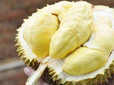 国产榴莲好不好吃呀视频,究竟美味与否？